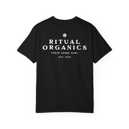 Ritual Organics Eclipse Tee in Black, back